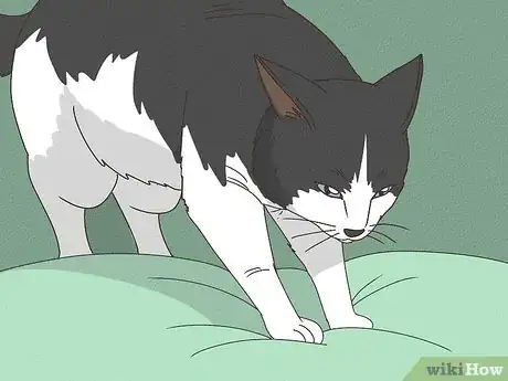 Image titled Why Do Cats Rub Against You Step 7