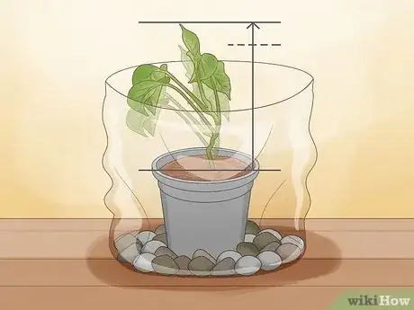 Image titled Propagate Your Plants Step 13