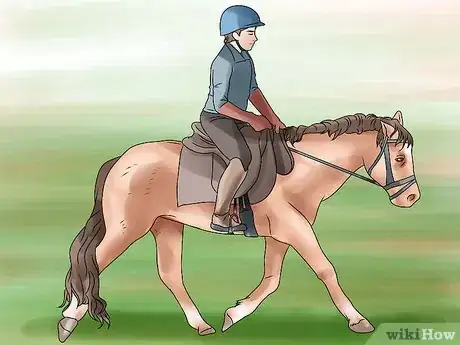 Image titled Canter With Your Horse Step 3