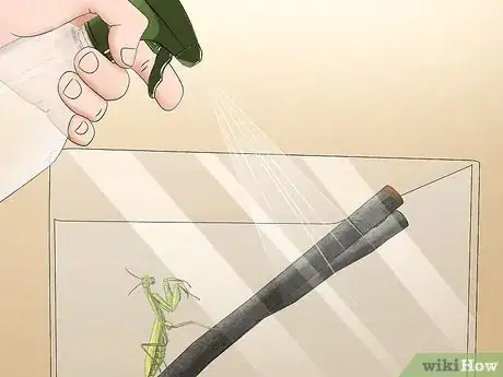 Image titled Take Care of a Praying Mantis Step 18