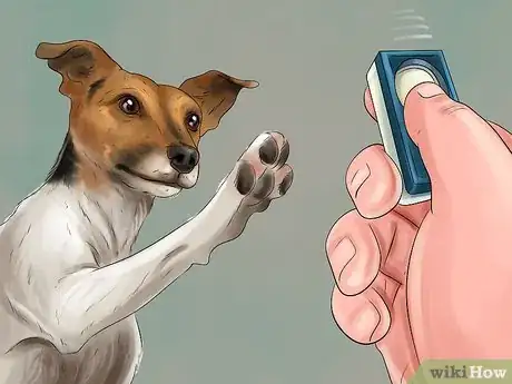 Image titled Live With a Hyper Jack Russell Terrier Step 5