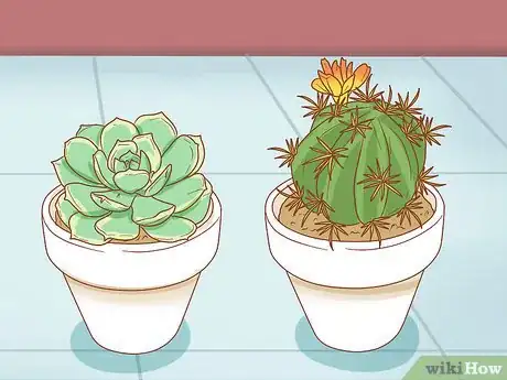 Image titled Protect Your Houseplants from Pets Step 11