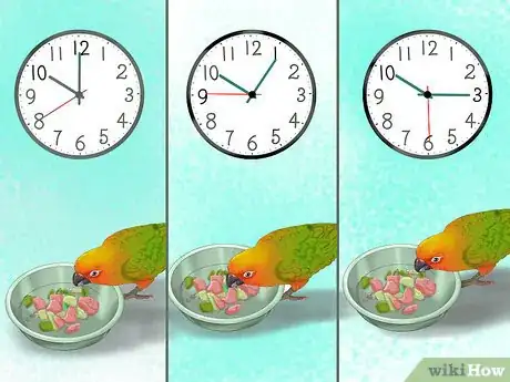 Image titled Care for a Conure Step 14