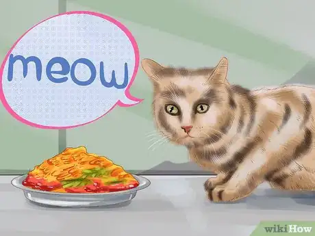 Image titled Understand the Cat's Meow Step 3