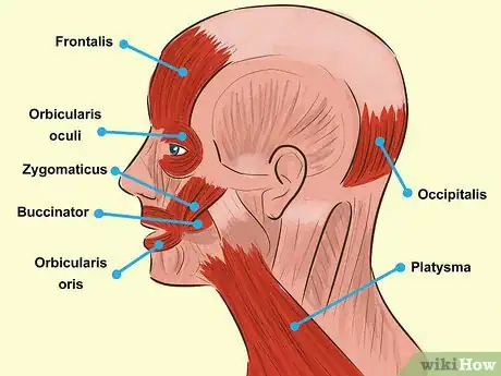 Image titled Massage Away a Headache Step 22