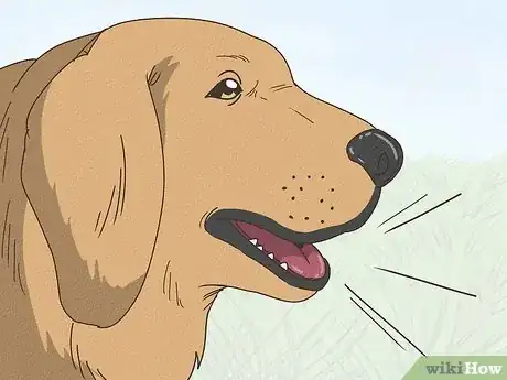 Image titled Why Do Dogs Sigh Step 12