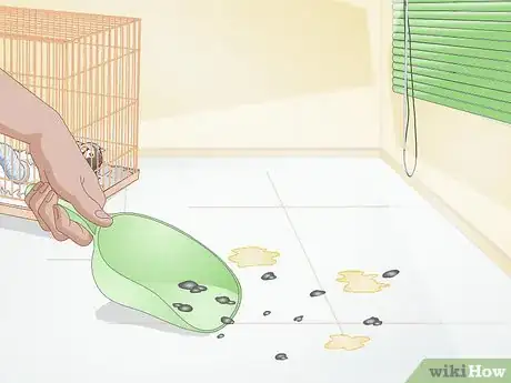 Image titled Clean up After Your Guinea Pig Step 2