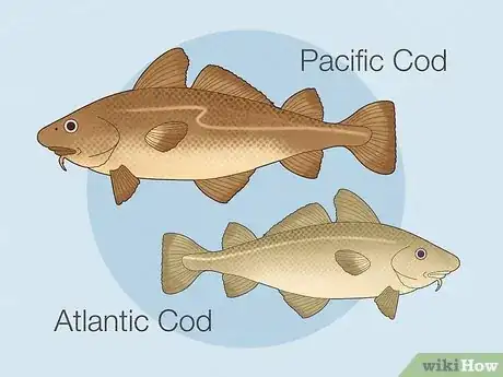 Image titled Cod vs Tilapia Step 8