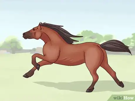 Image titled Cure Colic in Horses and Ponies Step 18