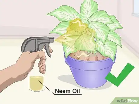 Image titled Keep Your Plants from Dying Step 4