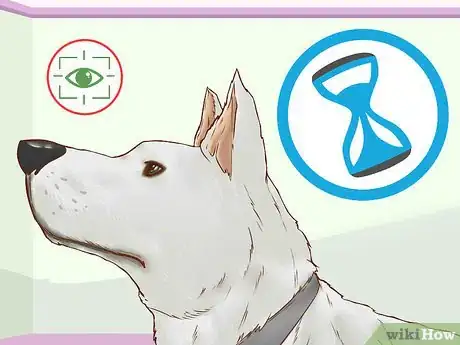 Image titled Get Your Dog's Attention Step 10