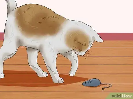 Image titled Prevent Cats from Jumping on Counters Step 10