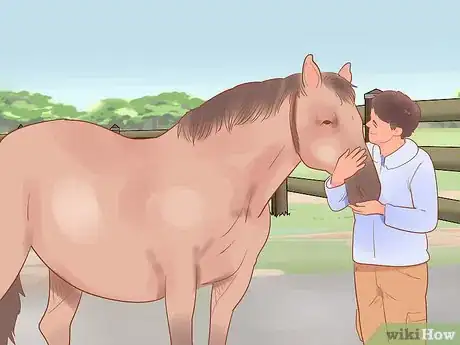 Image titled Teach a Horse to Ride Tackless Step 1