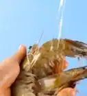 Clean Shrimp