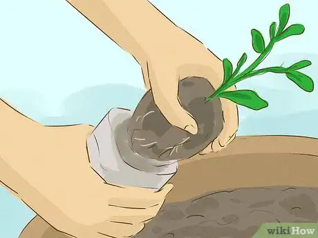 Image titled Plant an Herb Pot Step 15