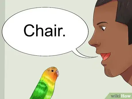 Image titled Teach Your Budgie to Talk Step 5