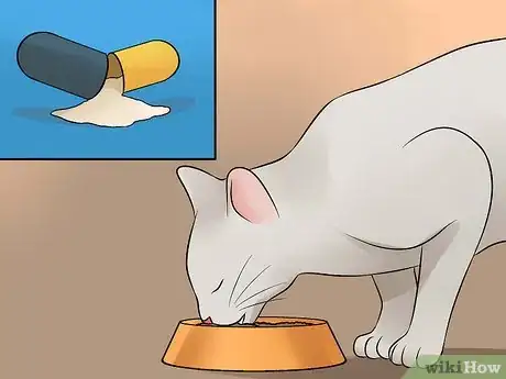 Image titled Help Your Depressed Cat Step 15