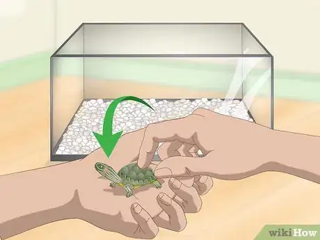 Image titled Take Care of Mini Pet Turtles Step 13