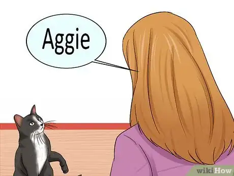 Image titled Choose a Name for Your Cat Step 10