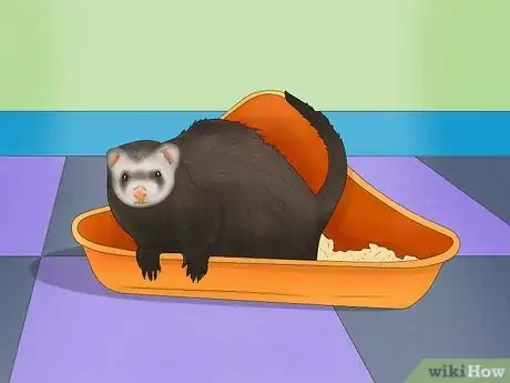 Image titled Decide if a Ferret Is the Right Pet for You Step 3