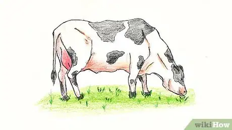 Image titled Draw a Cow Step 36