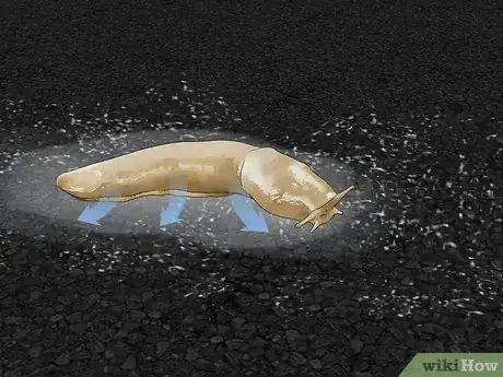 Image titled Does Salt Kill Slugs Step 1