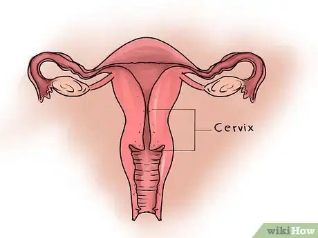 Image titled Feel Your Cervix Step 1