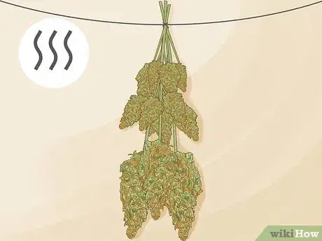 Image titled Dry and Cure Cannabis Step 5