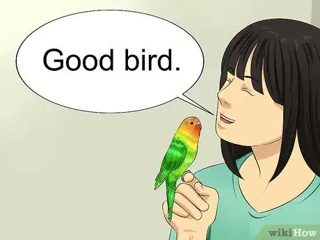 Image titled Teach Your Budgie to Talk Step 6