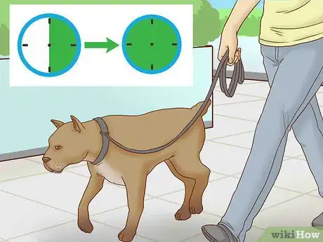 Image titled Get Your Dog's Attention Step 14