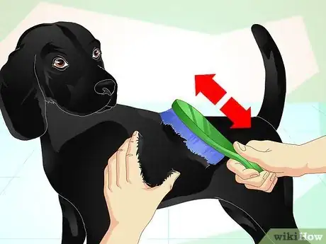 Image titled Make a Dog's Coat Shine Step 3