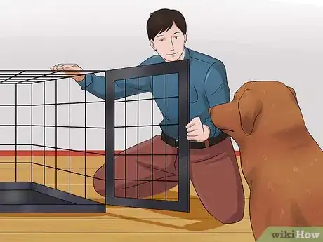 Image titled Prevent a Dog from Defecating in its Crate Step 5