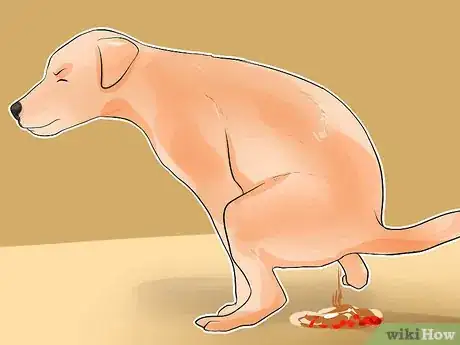 Image titled Diagnose Whipworms in Dogs Step 1