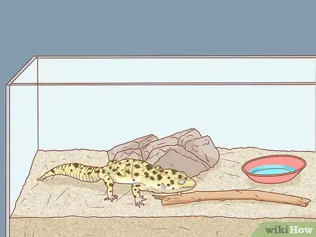 Image titled Safely and Properly Pack, Transport and Move Your Reptile Step 10
