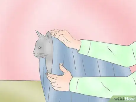 Image titled Wrap a Cat Step 10