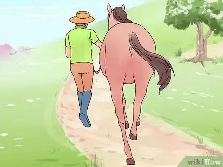 Image titled Castrate a Horse Step 12