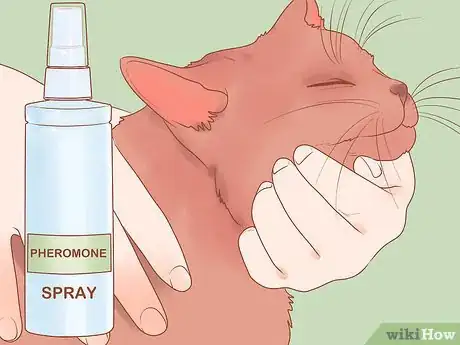 Image titled Know if Your Cat Is Afraid of Something Step 19