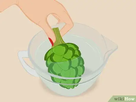 Image titled Select and Store Artichokes Step 4