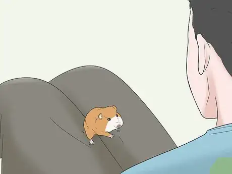 Image titled Hold a Hamster Step 8