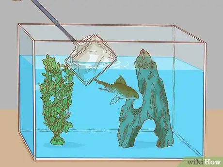 Image titled Sanitize a Fish Tank Step 14