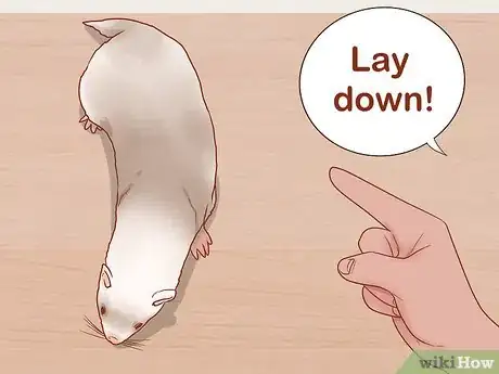 Image titled Train Your Ferrets to Do Tricks Step 16