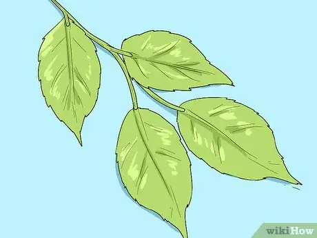 Image titled Make a Poison Ivy Costume Step 2
