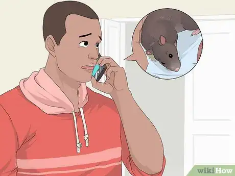 Image titled Treat Ear Infections in Rats Step 19