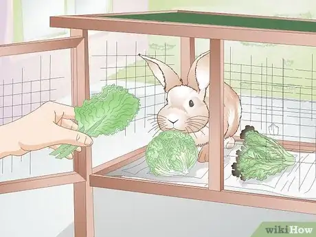 Image titled Feed Greens to Your Rabbit Step 16