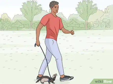 Image titled Train Your Ferret to Walk on a Leash Step 6