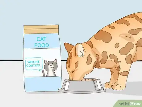 Image titled Keep a Bengal Cat Happy Step 15