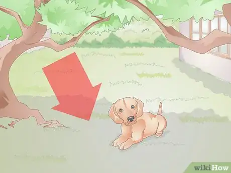 Image titled Air Condition Your Dog's House Step 1