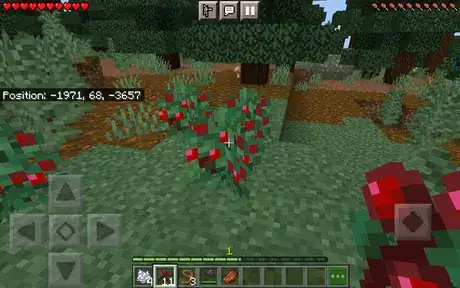 Image titled Harvesting Wild Sweet Berries (Minecraft) v2.png