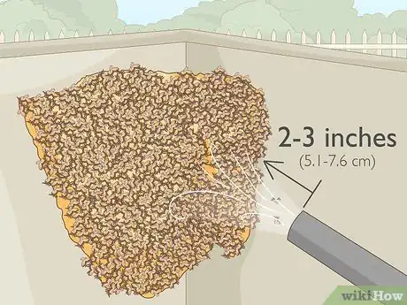 Image titled Remove Bees Step 8