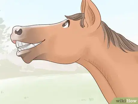 Image titled Tell if a Horse Is Happy Step 10